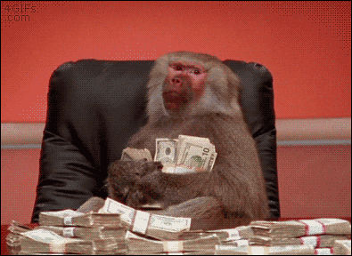 money monkey.gif