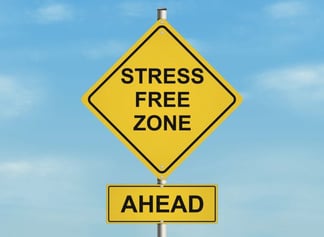 stress free zone ahead small